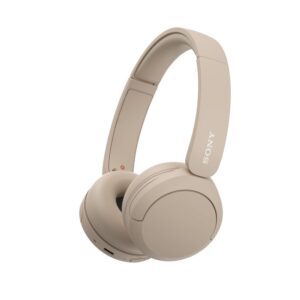 SONY WH-CH520