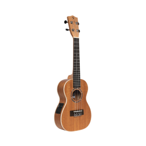 Stagg UC-30 E