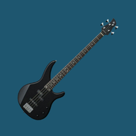 Bass Guitars