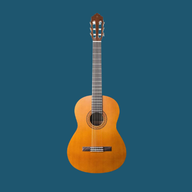 Classical Guitars