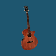 Folk Guitars